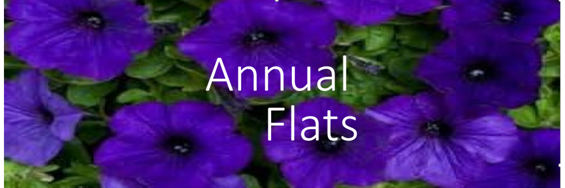 Annual Flats