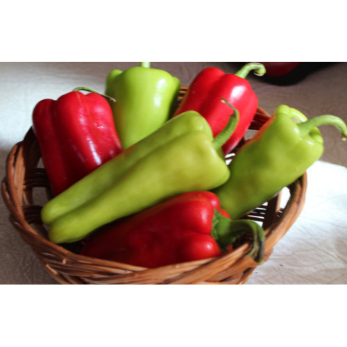 Peppers Cubanelle (mild) 4 inch pot