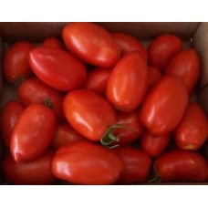 Tomatoes - Plum - La Roma - 4 inch pot